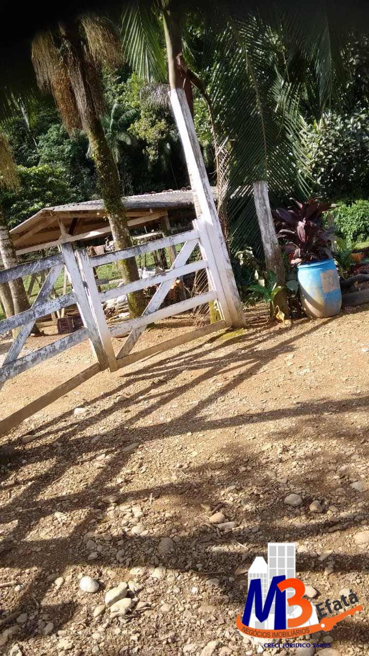 Fazenda à venda com 3 quartos, 12m² - Foto 9